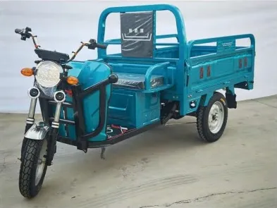 Wholesale Electric Cargo Tricycle Long Distance Farm Use Heavy Loading - detail 1