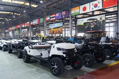 Wholesale Electric Cargo Tricycle Long Distance Farm Use Heavy Loading - detail 17