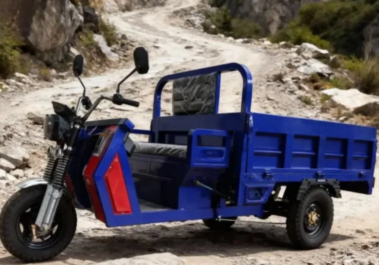 Three Wheels Electric Tricycle for Cargo & Passenger Delivery - detail 2