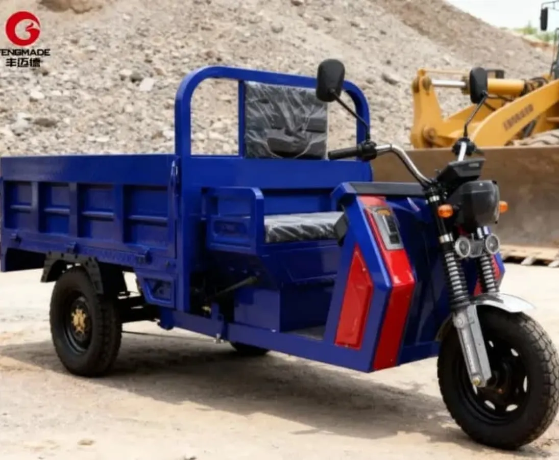 Three Wheels Electric Tricycle for Cargo & Passenger Delivery - detail 3