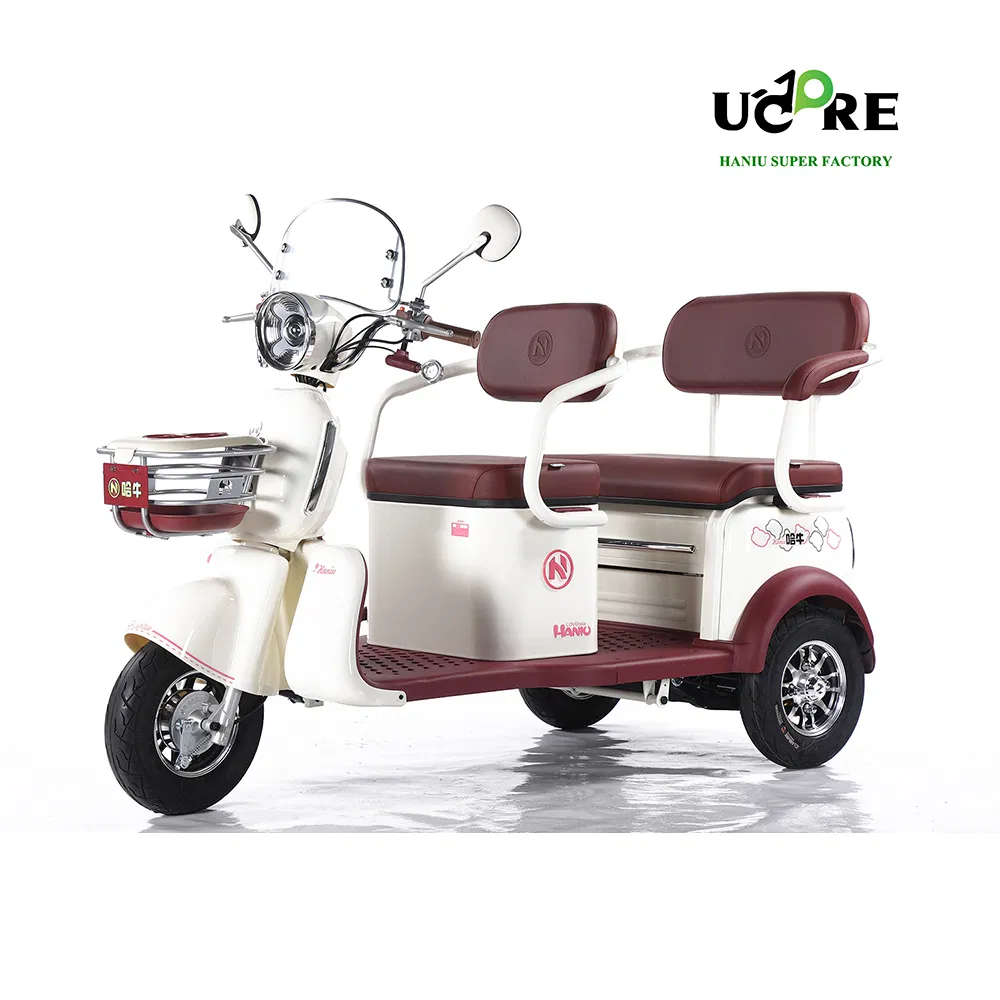 Factory Supply of Cargo Electric Tricycle /ISO 9001: 2015/ OEM/ODM/CS6 - Image 5
