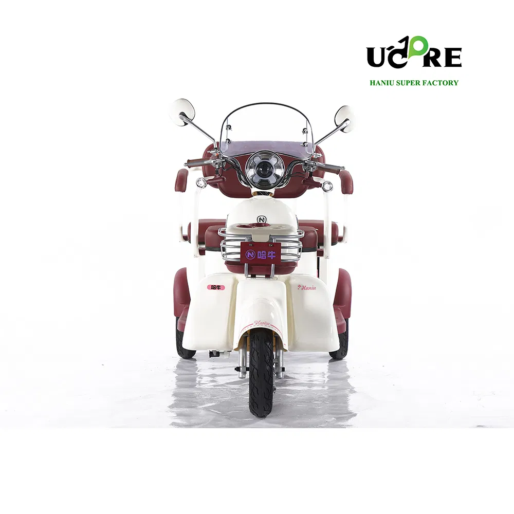 Factory Supply of Cargo Electric Tricycle /ISO 9001: 2015/ OEM/ODM/CS6 - Image 6