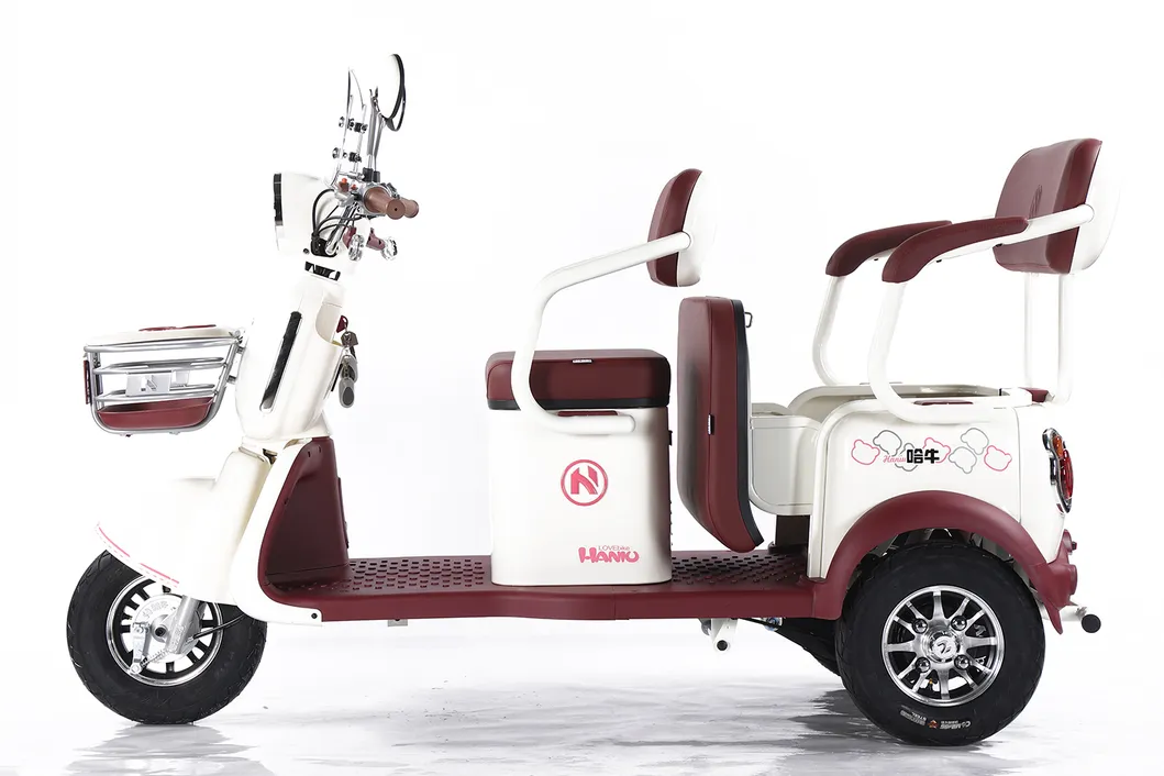 Factory Supply of Cargo Electric Tricycle /ISO 9001: 2015/ OEM/ODM/CS6 - detail 1
