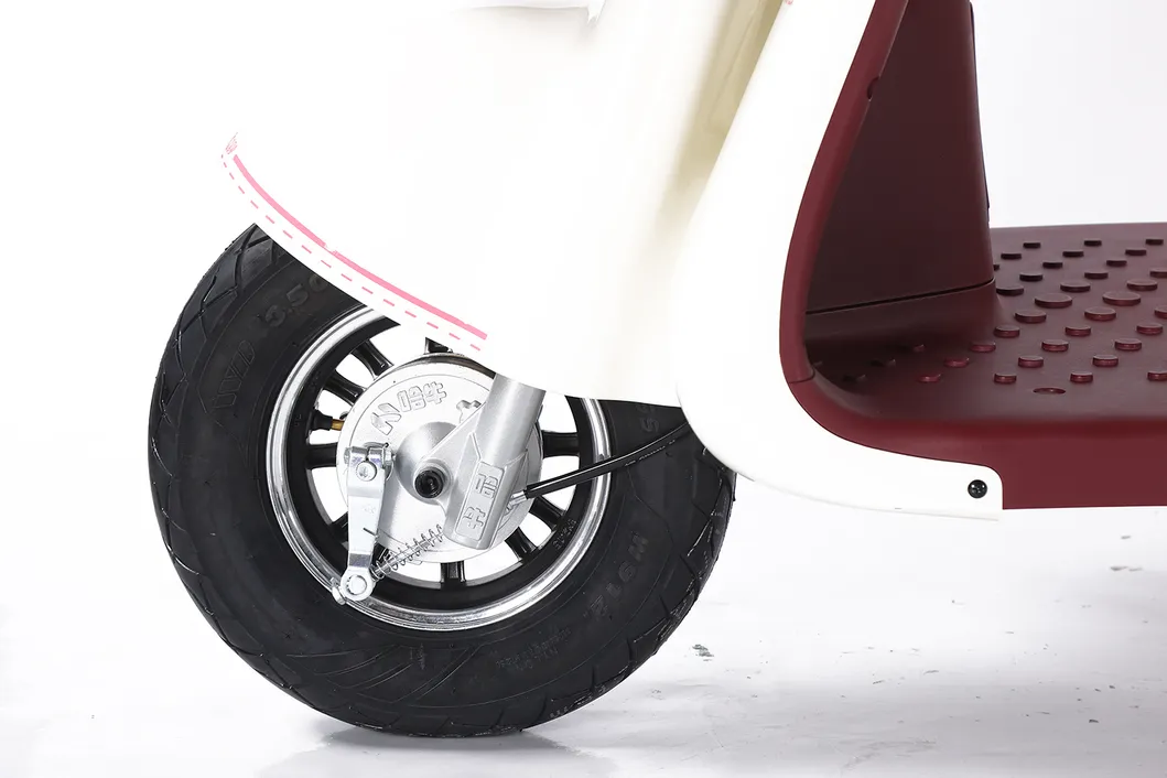 Factory Supply of Cargo Electric Tricycle /ISO 9001: 2015/ OEM/ODM/CS6 - detail 2