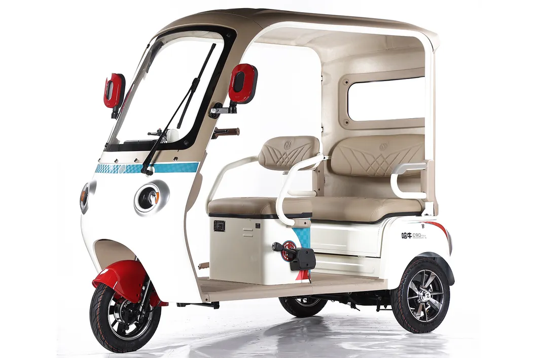 Factory Supply of Cargo Electric Tricycle /ISO 9001: 2015/ OEM/ODM/CS6 - detail 11