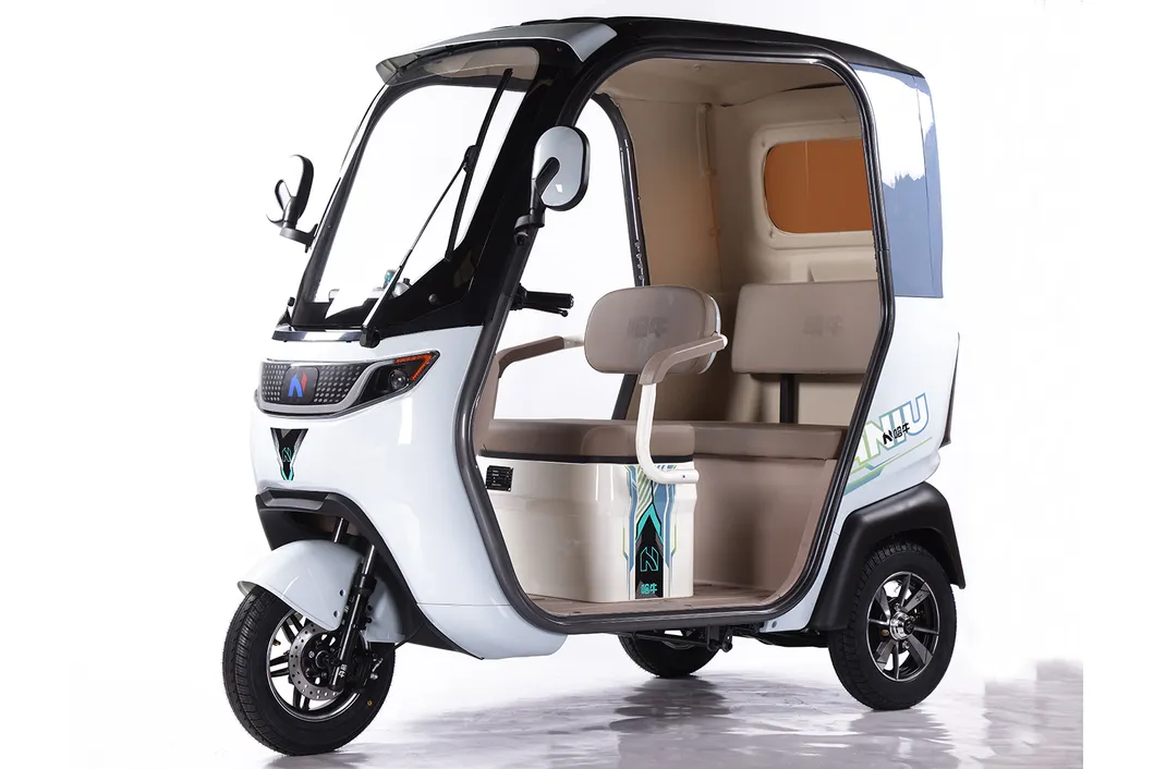 Factory Supply of Cargo Electric Tricycle /ISO 9001: 2015/ OEM/ODM/CS6 - detail 12