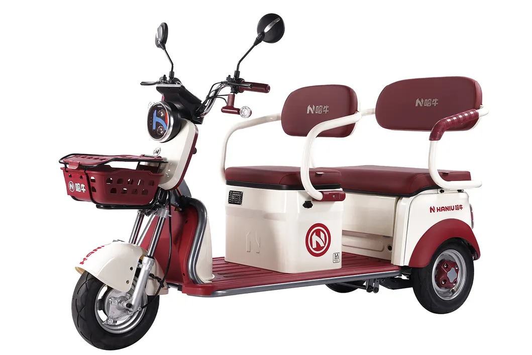 Factory Supply of Cargo Electric Tricycle /ISO 9001: 2015/ OEM/ODM/CS6 - detail 13