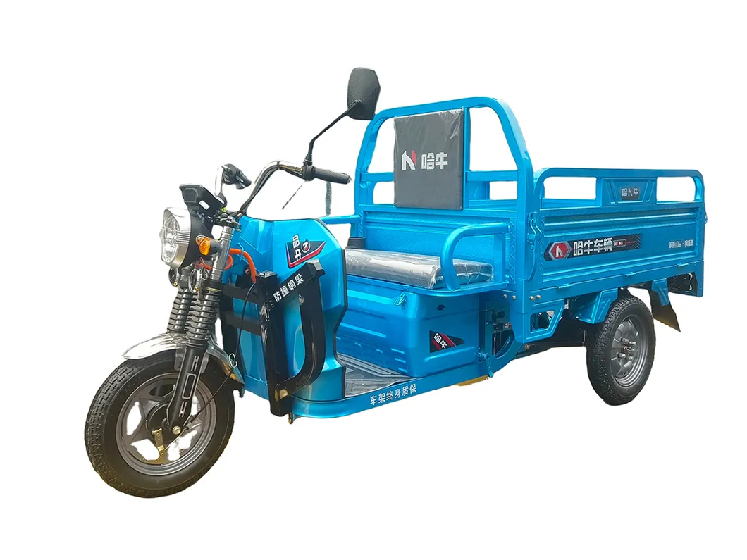 Factory Supply of Cargo Electric Tricycle /ISO 9001: 2015/ OEM/ODM/CS6 - detail 14