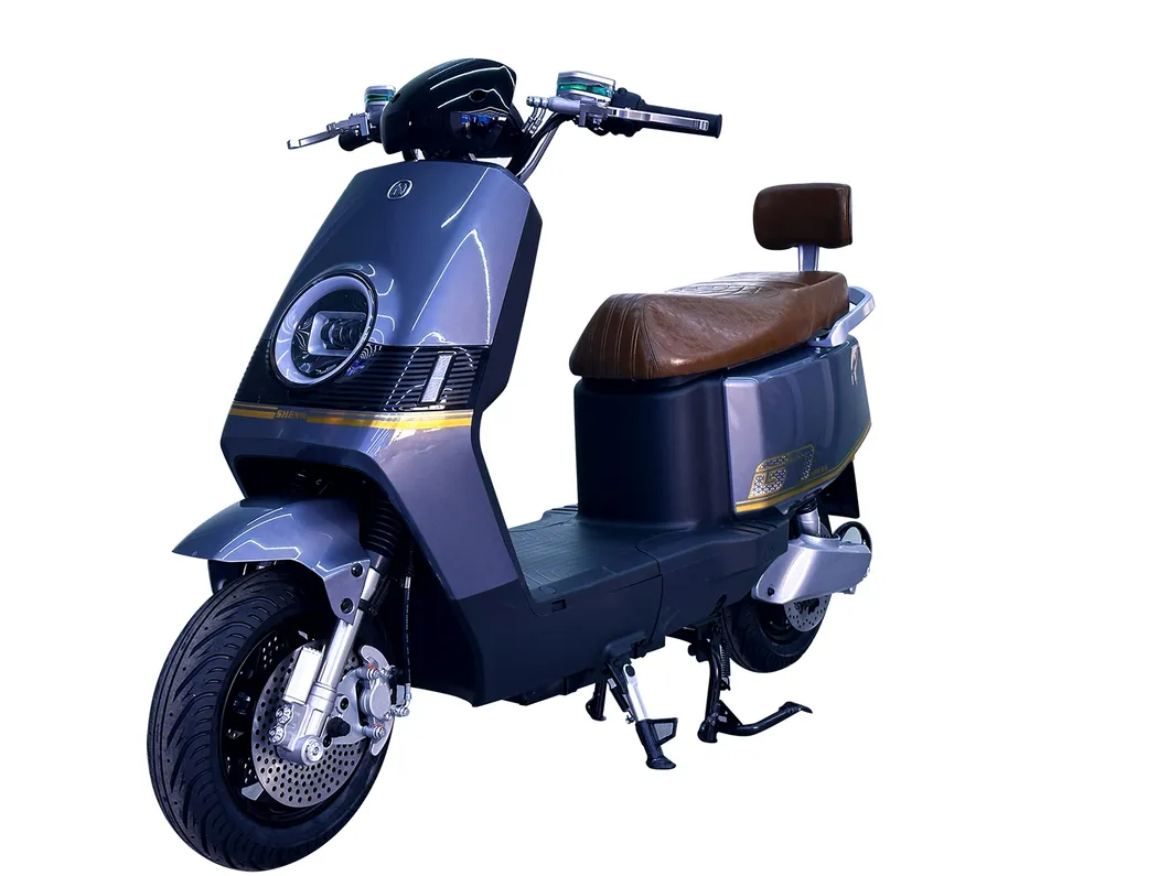 Factory Supply of Cargo Electric Tricycle /ISO 9001: 2015/ OEM/ODM/CS6 - detail 15