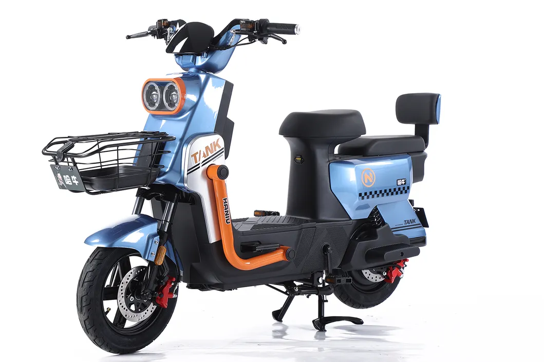 Factory Supply of Cargo Electric Tricycle /ISO 9001: 2015/ OEM/ODM/CS6 - detail 16