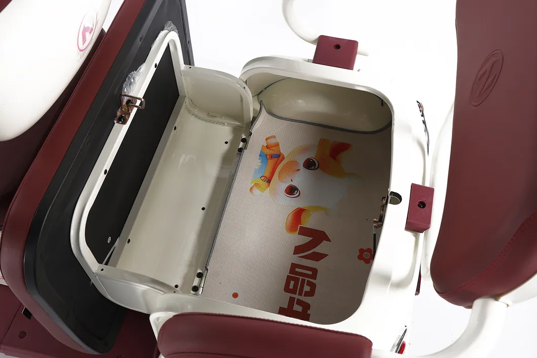 Factory Supply of Cargo Electric Tricycle /ISO 9001: 2015/ OEM/ODM/CS6 - detail 4