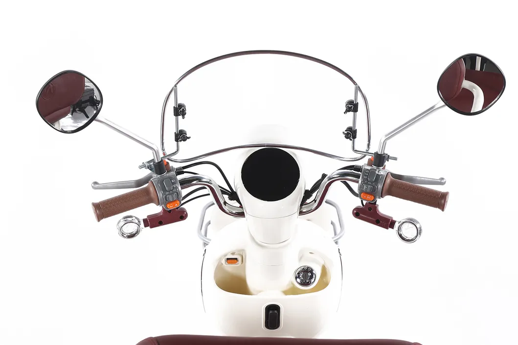 Factory Supply of Cargo Electric Tricycle /ISO 9001: 2015/ OEM/ODM/CS6 - detail 7