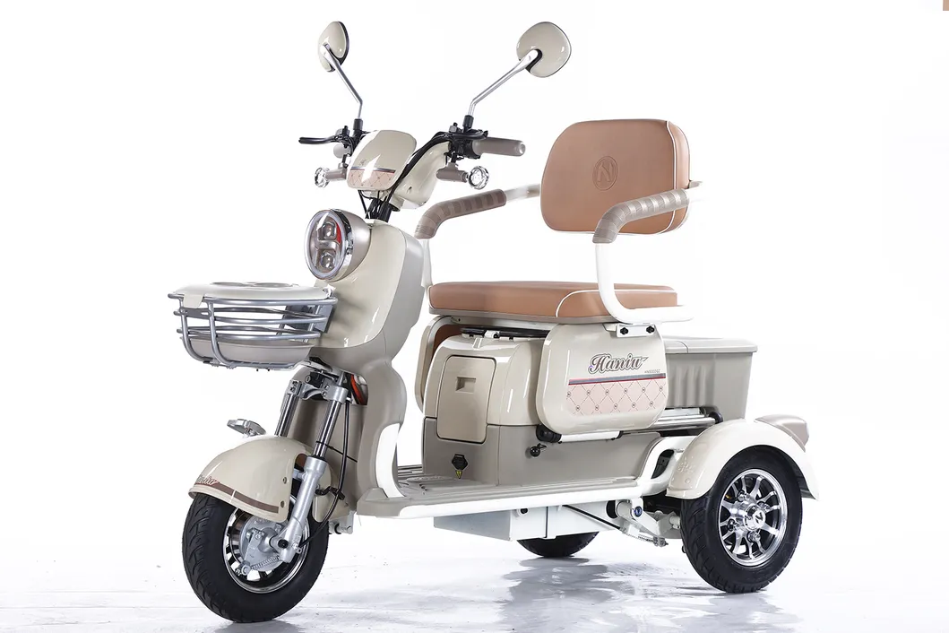Factory Supply of Cargo Electric Tricycle /ISO 9001: 2015/ OEM/ODM/CS6 - detail 8