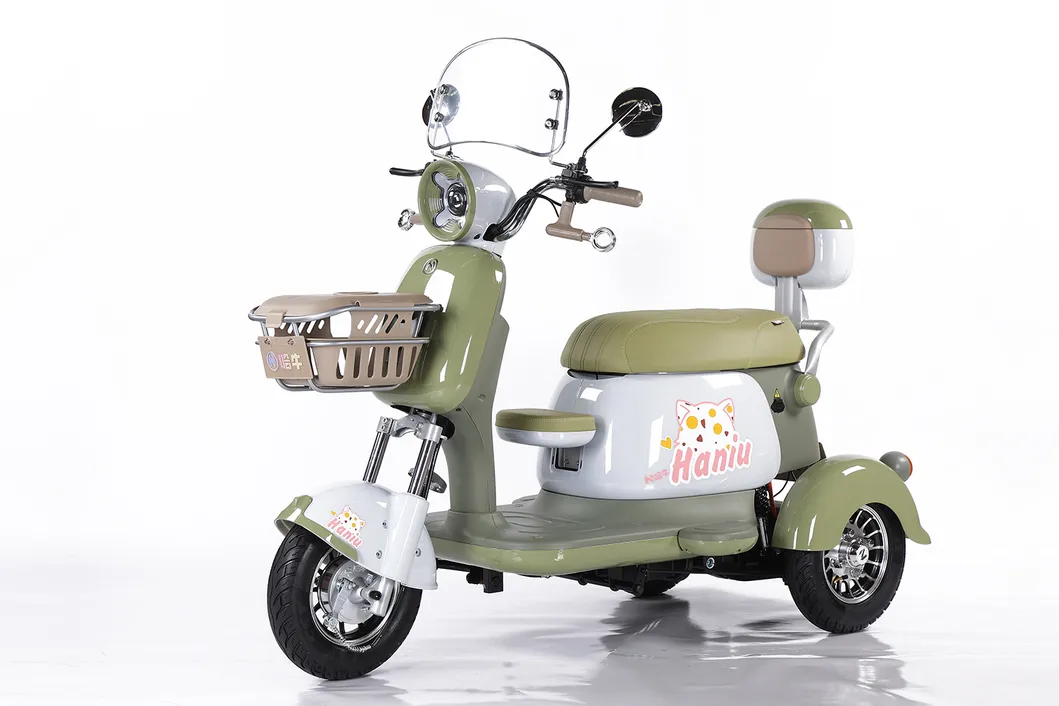 Factory Supply of Cargo Electric Tricycle /ISO 9001: 2015/ OEM/ODM/CS6 - detail 9