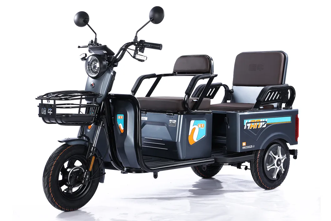 Factory Supply of Cargo Electric Tricycle /ISO 9001: 2015/ OEM/ODM/CS6 - detail 10