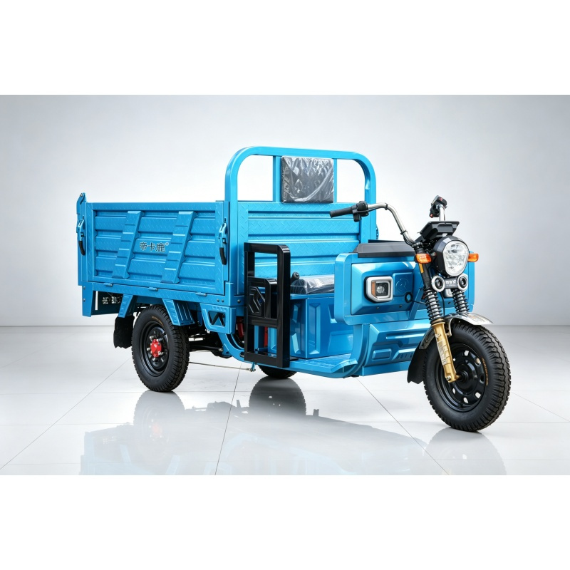 Open Electric Cargo Tricycle with 60V1000W Motor