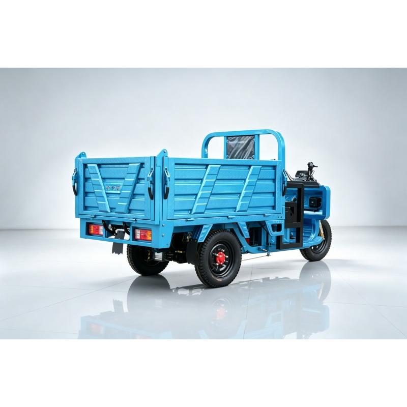 Open Electric Cargo Tricycle with 60V1000W Motor - Image 3