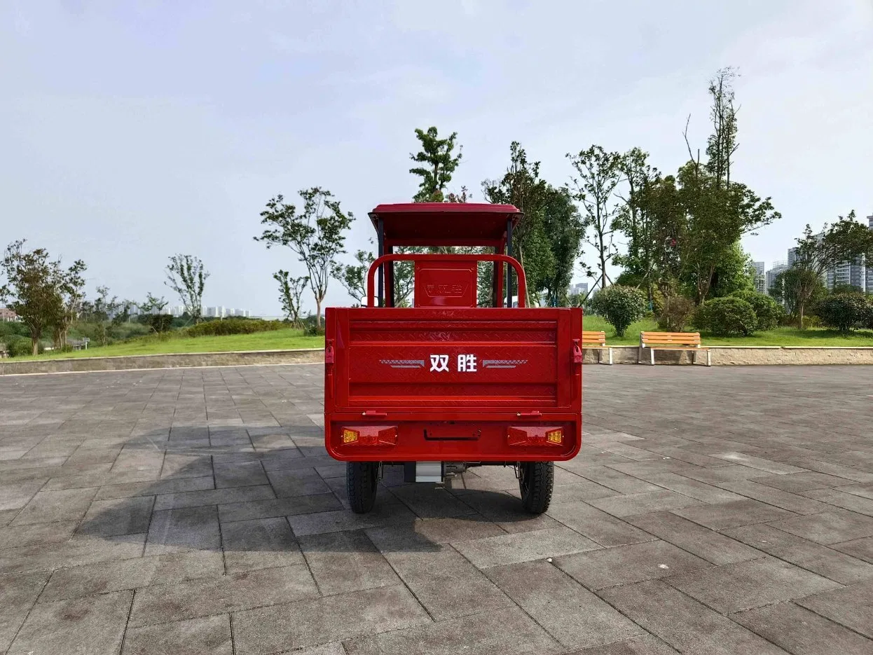 Wholesale Electric Cargo Tricycle 60V Steel Frame Open Cab Adult Passenger Tricycle Cheap Three Wheel Electric Tricycle for Adults - Image 6