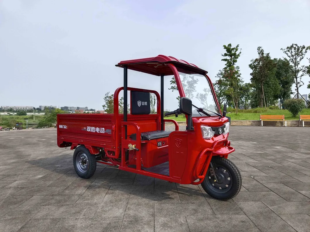 Wholesale Electric Cargo Tricycle 60V Steel Frame Open Cab Adult Passenger Tricycle Cheap Three Wheel Electric Tricycle for Adults - detail 2