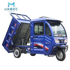 Versatile Enclosed Cabin Electric Tricycle for Cargo Transport