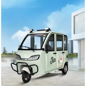 Versatile Enclosed Cabin Electric Tricycle for Cargo Transport - detail 10