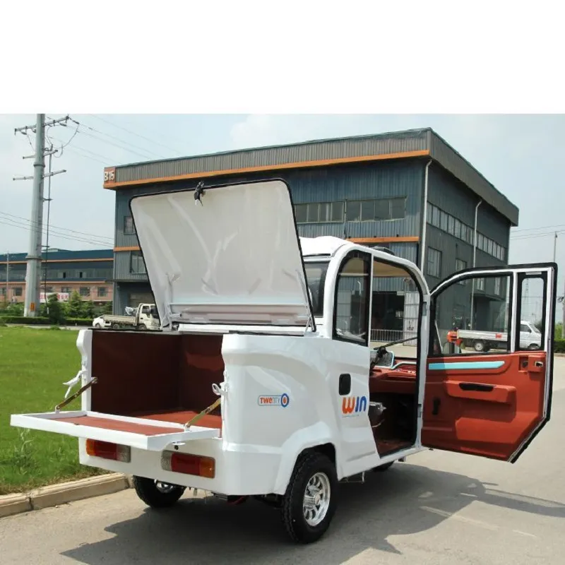 Electric Tricycle with High Voltage for Cargo and Passenger Transport - detail 2