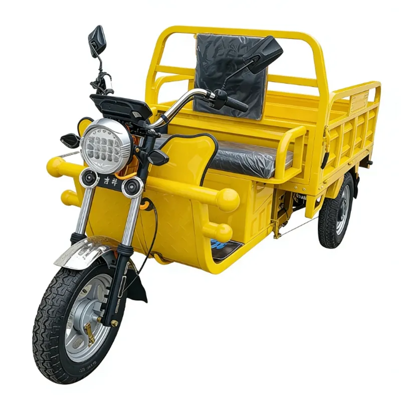 2026 1000W 2000W Cheap Electric Cargo Tricycle Three Wheels China Factory with Lead Acid Battery - detail 2