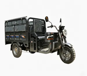2026 1000W 2000W Cheap Electric Cargo Tricycle Three Wheels China Factory with Lead Acid Battery - detail 18
