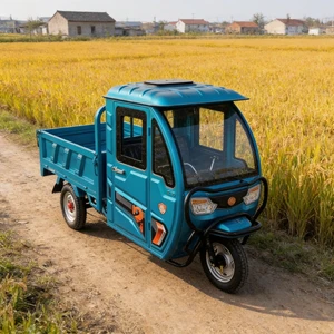 2026 1000W 2000W Cheap Electric Cargo Tricycle Three Wheels China Factory with Lead Acid Battery - detail 20