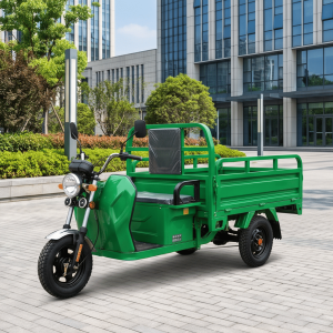 Energy Saving Electric Cargo Tricycle Open Body 3 Wheel Battery Trike for Urban & Rural Logistics Transport