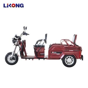 EU Standard Cheap Cargo Ebicycle 3-Wheel Electric Tricycle with Adjustable-Seats for Passenger