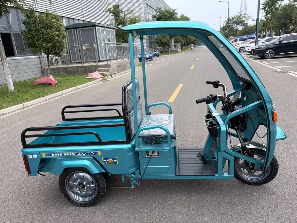 Electric Cargo Delivery Trike Heavy Duty 3-Wheel Electric Powered Tricycle for Logistics - detail 3