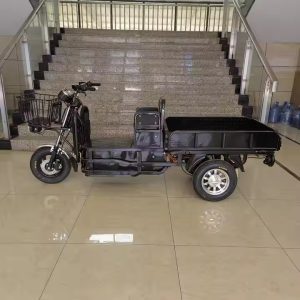 China Factory 60V Electric Cargo Tricycle 1500W Delivery Electric Tricycle 3-Wheel Electric Cargo Bicycle