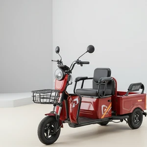 China Factory 60V Electric Cargo Tricycle 1500W Delivery Electric Tricycle 3-Wheel Electric Cargo Bicycle - detail 15