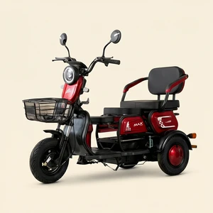China Factory 60V Electric Cargo Tricycle 1500W Delivery Electric Tricycle 3-Wheel Electric Cargo Bicycle - detail 16