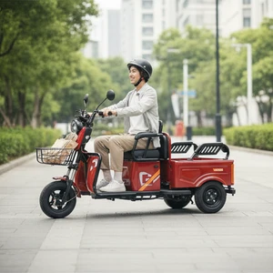 China Factory 60V Electric Cargo Tricycle 1500W Delivery Electric Tricycle 3-Wheel Electric Cargo Bicycle - detail 17