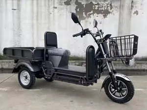 China Factory 60V Electric Cargo Tricycle 1500W Delivery Electric Tricycle 3-Wheel Electric Cargo Bicycle - detail 19