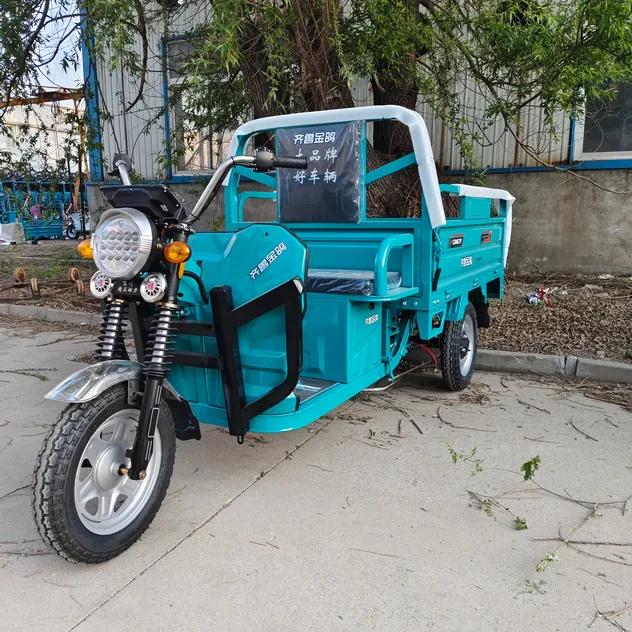 Best Price Electric Cargo Tricycle China Supplier - detail 2