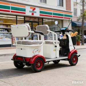 Best Price Electric Cargo Tricycle China Supplier - detail 14
