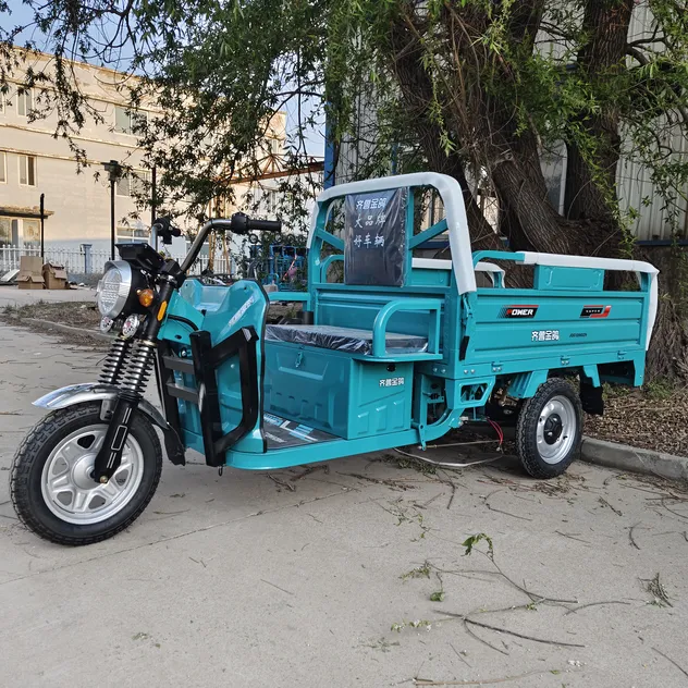 Best Price Electric Cargo Tricycle China Supplier - detail 3