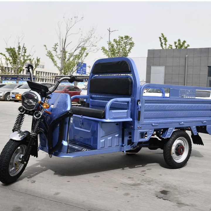 800W,1000W Best,Cheap,Adult,New Closed Three Wheel,Wheeler,Electric Trike,Car,Vehicle,Scooter, Motorbike,Rickshaw,Motorcycle,Cargo Tricycle Manufacturer - Image 3