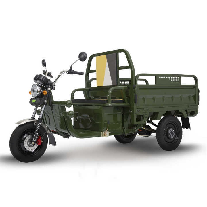 800W,1000W Best,Cheap,Adult,New Closed Three Wheel,Wheeler,Electric Trike,Car,Vehicle,Scooter, Motorbike,Rickshaw,Motorcycle,Cargo Tricycle Manufacturer - Image 4