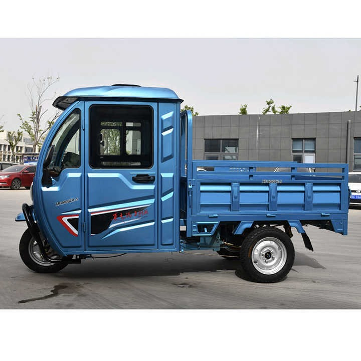 800W,1000W Best,Cheap,Adult,New Closed Three Wheel,Wheeler,Electric Trike,Car,Vehicle,Scooter, Motorbike,Rickshaw,Motorcycle,Cargo Tricycle Manufacturer - Image 5