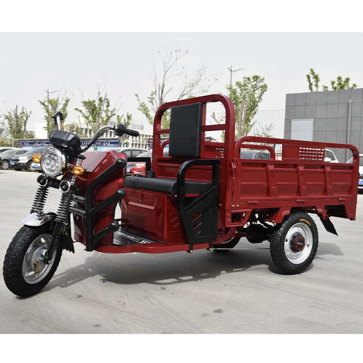 800W,1000W Best,Cheap,Adult,New Closed Three Wheel,Wheeler,Electric Trike,Car,Vehicle,Scooter, Motorbike,Rickshaw,Motorcycle,Cargo Tricycle Manufacturer - Image 6
