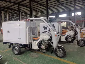 800W,1000W Best,Cheap,Adult,New Closed Three Wheel,Wheeler,Electric Trike,Car,Vehicle,Scooter, Motorbike,Rickshaw,Motorcycle,Cargo Tricycle Manufacturer - detail 20