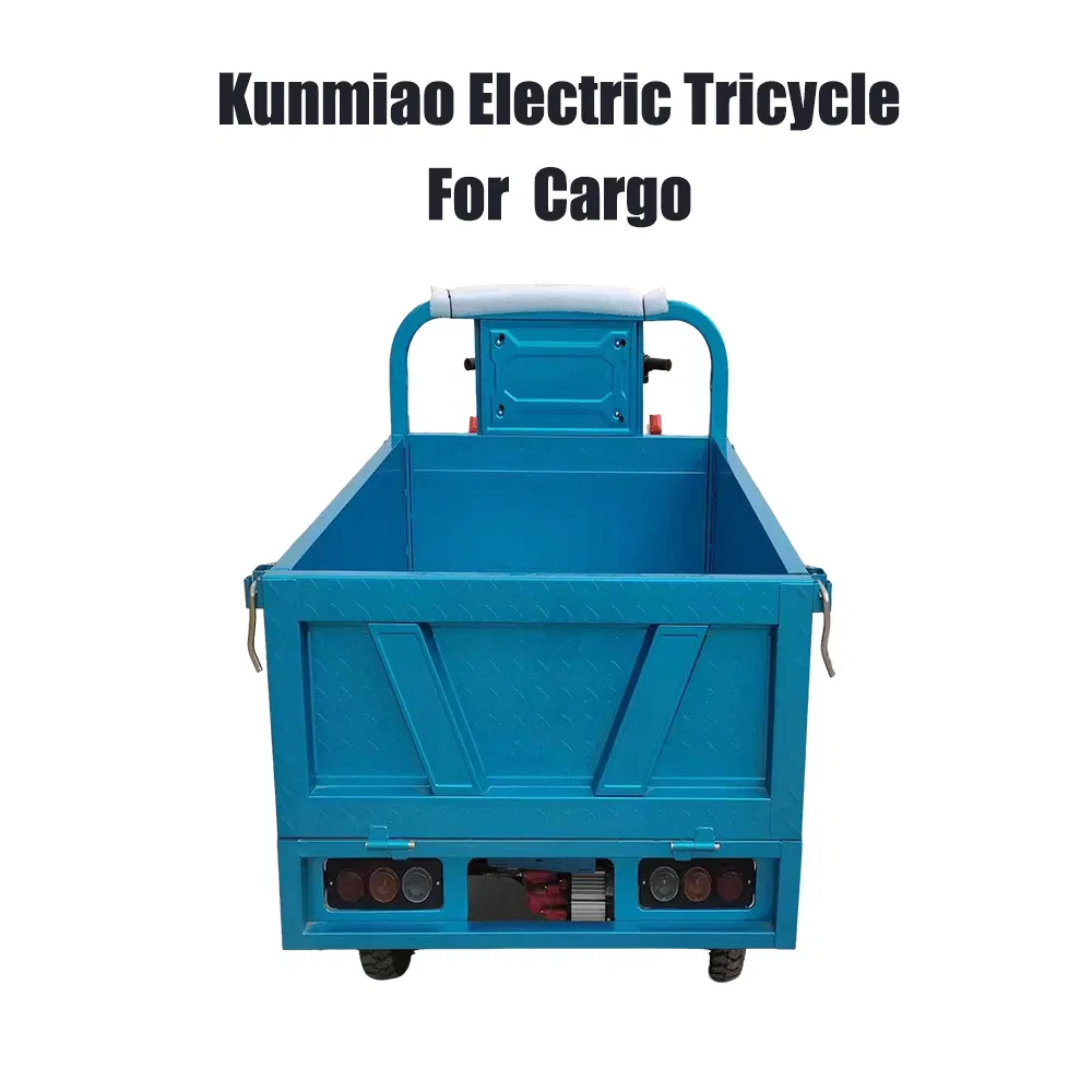 Heavy Cargo Transparent Tricycle Electric Trike Electric Cargo Tricycle - Image 6