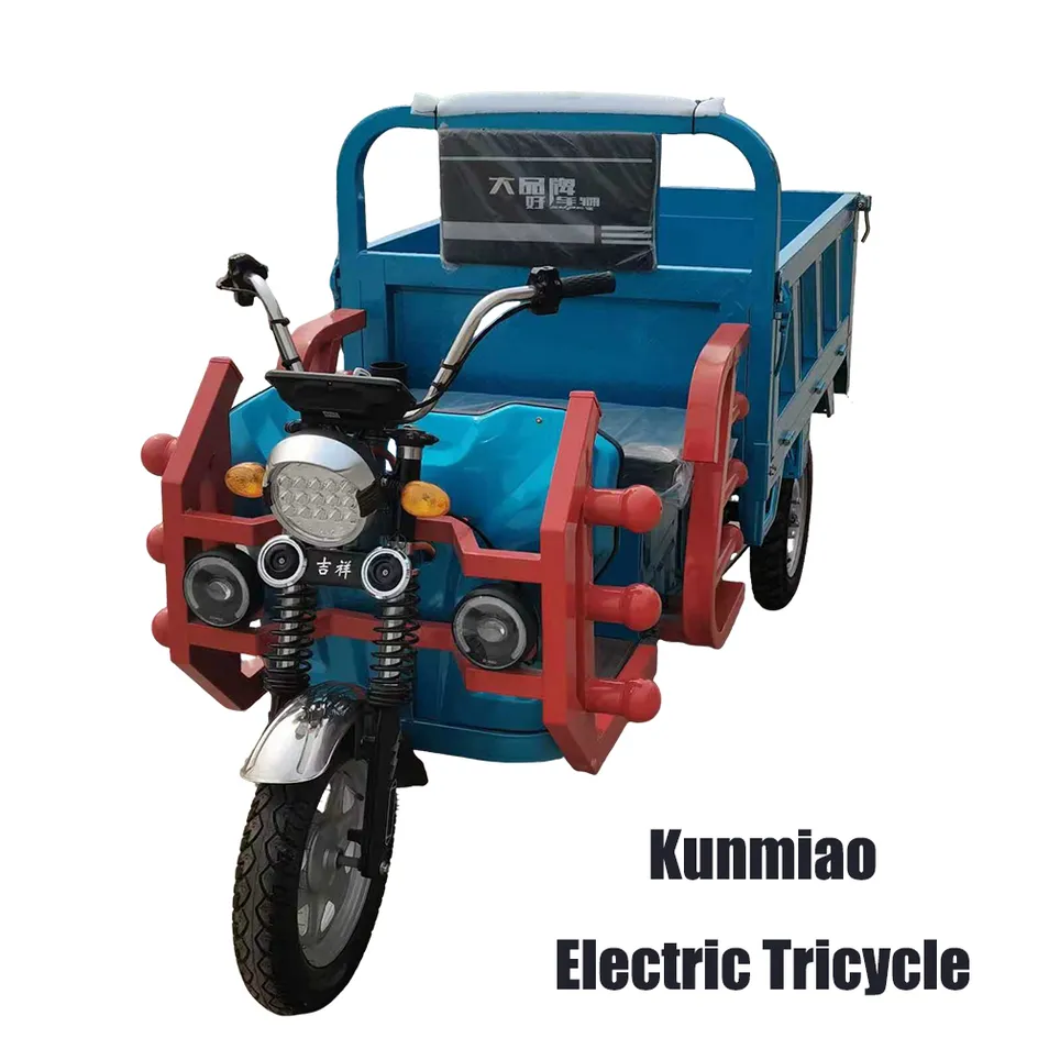 Heavy Cargo Transparent Tricycle Electric Trike Electric Cargo Tricycle - detail 1