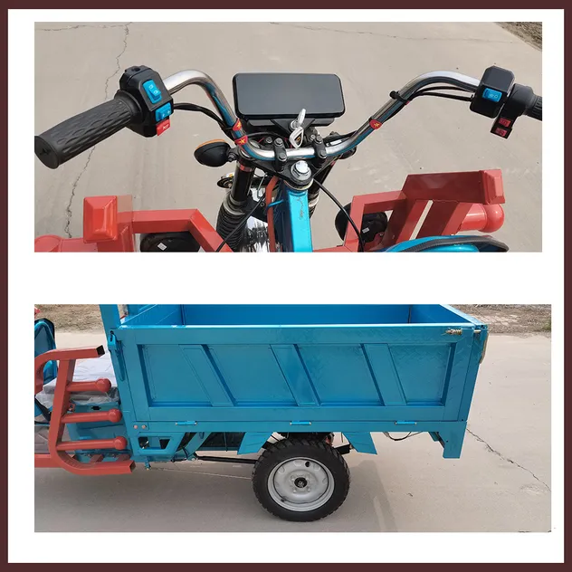 Heavy Cargo Transparent Tricycle Electric Trike Electric Cargo Tricycle - detail 2