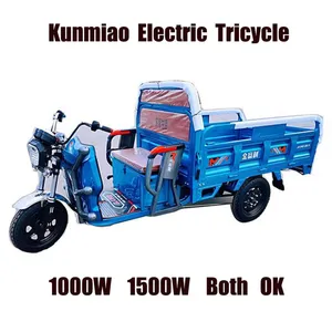 Heavy Cargo Transparent Tricycle Electric Trike Electric Cargo Tricycle - detail 11
