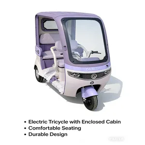 Heavy Cargo Transparent Tricycle Electric Trike Electric Cargo Tricycle - detail 12